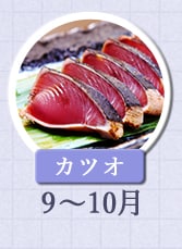 カツオ　9月～10月