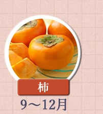 柿　9月～12月