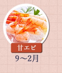 甘エビ　9月～2月