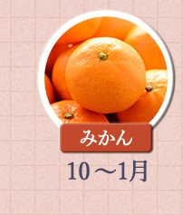 みかん　10月～1月