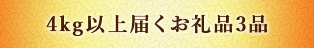 【寄付金額1万円台で〇キロ超え☆】4kg以上届くお礼品３品