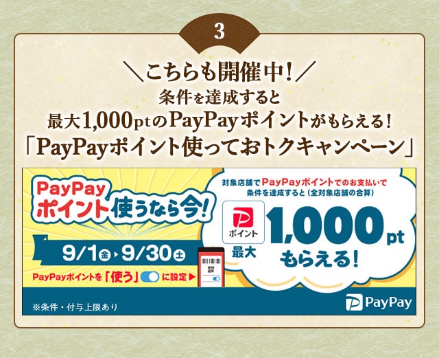 ＼こちらも開催中！／条件を達成すると最大1,000ptのPayPayポイントがもらえる！「PayPayポイント使っておトクキャンペーン」