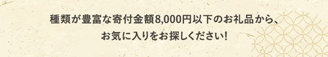 種類が豊富な寄付金額8,000円以下のお礼品から、お気に入りをお探しください！