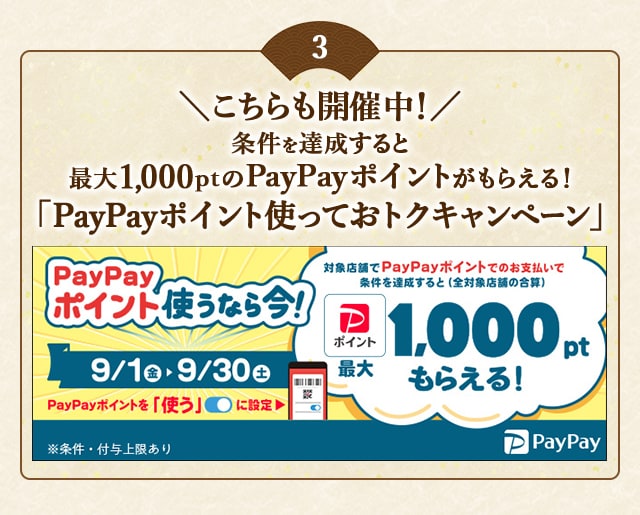 ＼こちらも開催中！／条件を達成すると最大1,000ptのPayPayポイントがもらえる！「PayPayポイント使っておトクキャンペーン」
