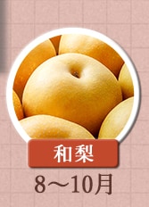 和梨　8月～10月