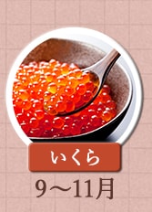 いくら　9月～11月