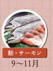鮭・サーモン　9月～11月