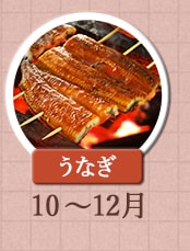 うなぎ　10月～12月