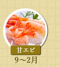 甘エビ　9月～2月