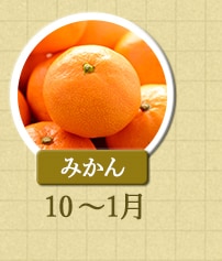 みかん　10月～1月