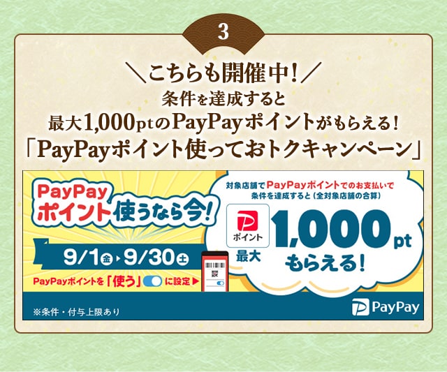 ＼こちらも開催中！／条件を達成すると最大1,000ptのPayPayポイントがもらえる！「PayPayポイント使っておトクキャンペーン」