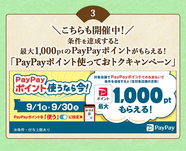 ＼こちらも開催中！／条件を達成すると最大1,000ptのPayPayポイントがもらえる！「PayPayポイント使っておトクキャンペーン」
