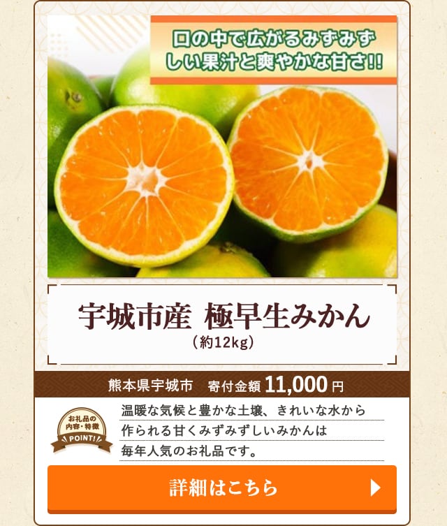 「宇城市産 極早生みかん」(約12kg)/熊本県宇城市