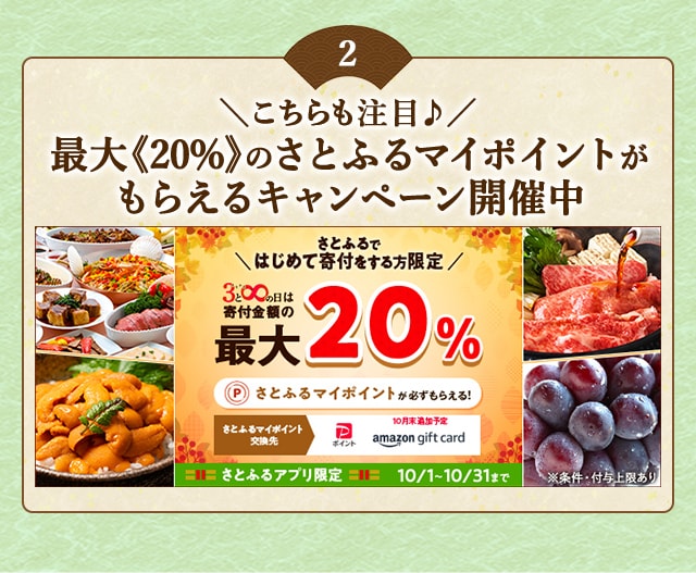 ＼さとふるではじめて寄付をする方はこちらも注目♪／「さとふるの日」にさとふるアプリで寄付をすると、合計で最大《20％》のさとふるマイポイントがもらえるキャンペーン開催中