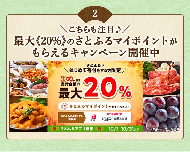 ＼さとふるではじめて寄付をする方はこちらも注目♪／「さとふるの日」にさとふるアプリで寄付をすると、合計で最大《20％》のさとふるマイポイントがもらえるキャンペーン開催中