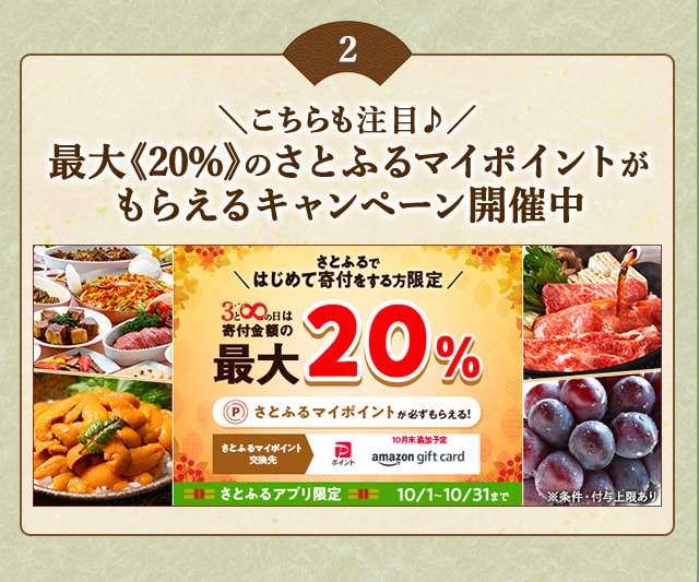 ＼さとふるではじめて寄付をする方はこちらも注目♪／「さとふるの日」にさとふるアプリで寄付をすると、合計で最大《20％》のさとふるマイポイントがもらえるキャンペーン開催中