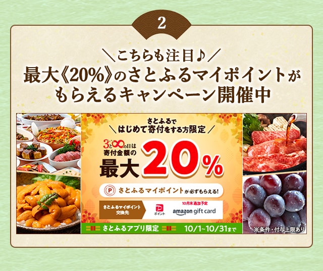 ＼さとふるではじめて寄付をする方はこちらも注目♪／「さとふるの日」にさとふるアプリで寄付をすると、合計で最大《20％》のさとふるマイポイントがもらえるキャンペーン開催中