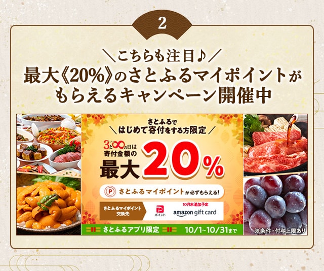 ＼さとふるではじめて寄付をする方はこちらも注目♪／「さとふるの日」にさとふるアプリで寄付をすると、合計で最大《20％》のさとふるマイポイントがもらえるキャンペーン開催中
