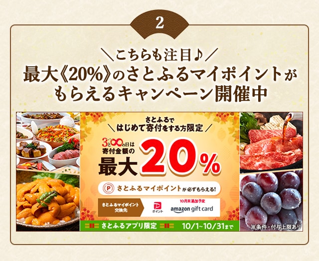 ＼さとふるではじめて寄付をする方はこちらも注目♪／「さとふるの日」にさとふるアプリで寄付をすると、合計で最大《20％》のさとふるマイポイントがもらえるキャンペーン開催中