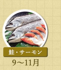 鮭・サーモン　9月～11月