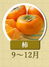 柿　9月～12月