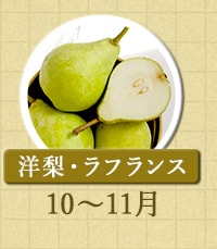 洋梨・ラフランス　10月～11月