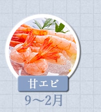 甘エビ　9月～2月
