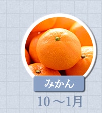 みかん　10月～1月