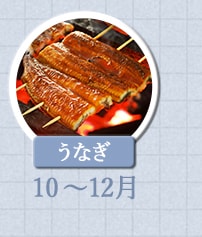 うなぎ　10月～12月