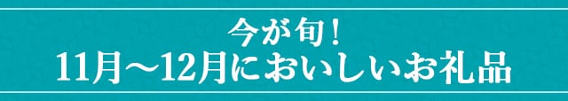 今が旬！《１１月～１２月においしいお礼品》