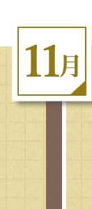 11月