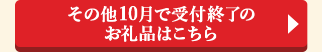 ＞＞その他 10月で受付終了のお礼品はこちら＜＜