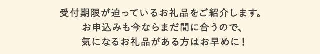 今ならまだお申込みも間に合いますので、気になるお礼品がある方はお早めに！