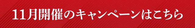 11月開催中のキャンペーンはこちら