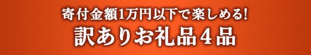 《寄付金額1万円以下で楽しめる！》訳ありお礼品４品