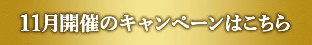11月開催中のキャンペーンはこちら