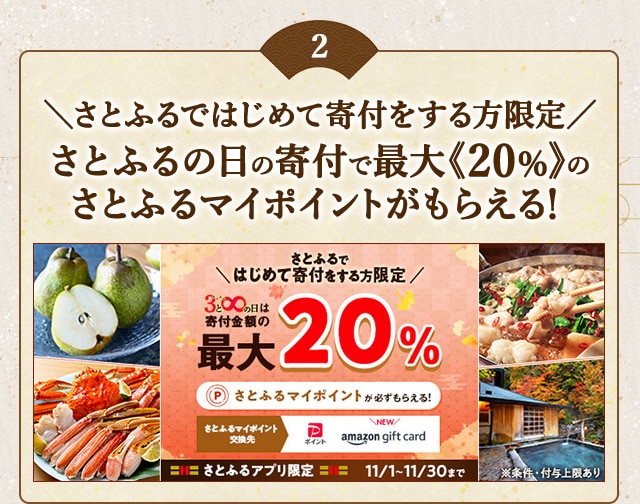 ＼さとふるではじめて寄付をする方はこちらも注目♪／「さとふるの日」にさとふるアプリで寄付をすると、合計で最大《20％》のさとふるマイポイントがもらえるキャンペーン開催中