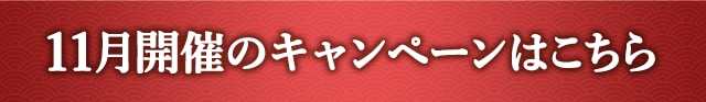 11月開催のキャンペーンはこちら