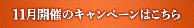 11月開催のキャンペーンはこちら