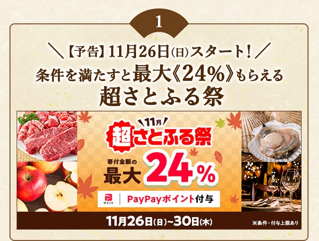 ＼【予告】11月26日(日)からは合計で最大《24％》プレゼント！／超さとふる際
