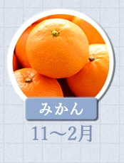 みかん 11月～2月