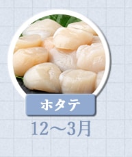 ホタテ 12月～3月