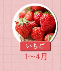 いちご 1月～4月