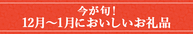 今が旬！《１２月～１月においしいお礼品》