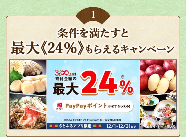 「メガさとふるの日」にさとふるアプリで寄付をすると、合計で最大《24％》のPayPayポイントがもらえるキャンペーン開催
