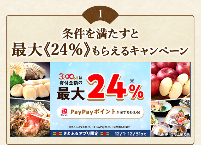 「メガさとふるの日」にさとふるアプリで寄付をすると、合計で最大《24％》のPayPayポイントがもらえるキャンペーン開催