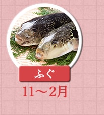 １１～２月が旬！《ふぐ》
