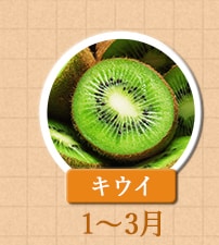１～３月が旬！《キウイ》