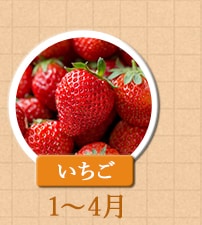 １～４月が旬！《いちご》