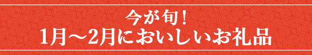 今が旬！《１月～２月においしいお礼品》